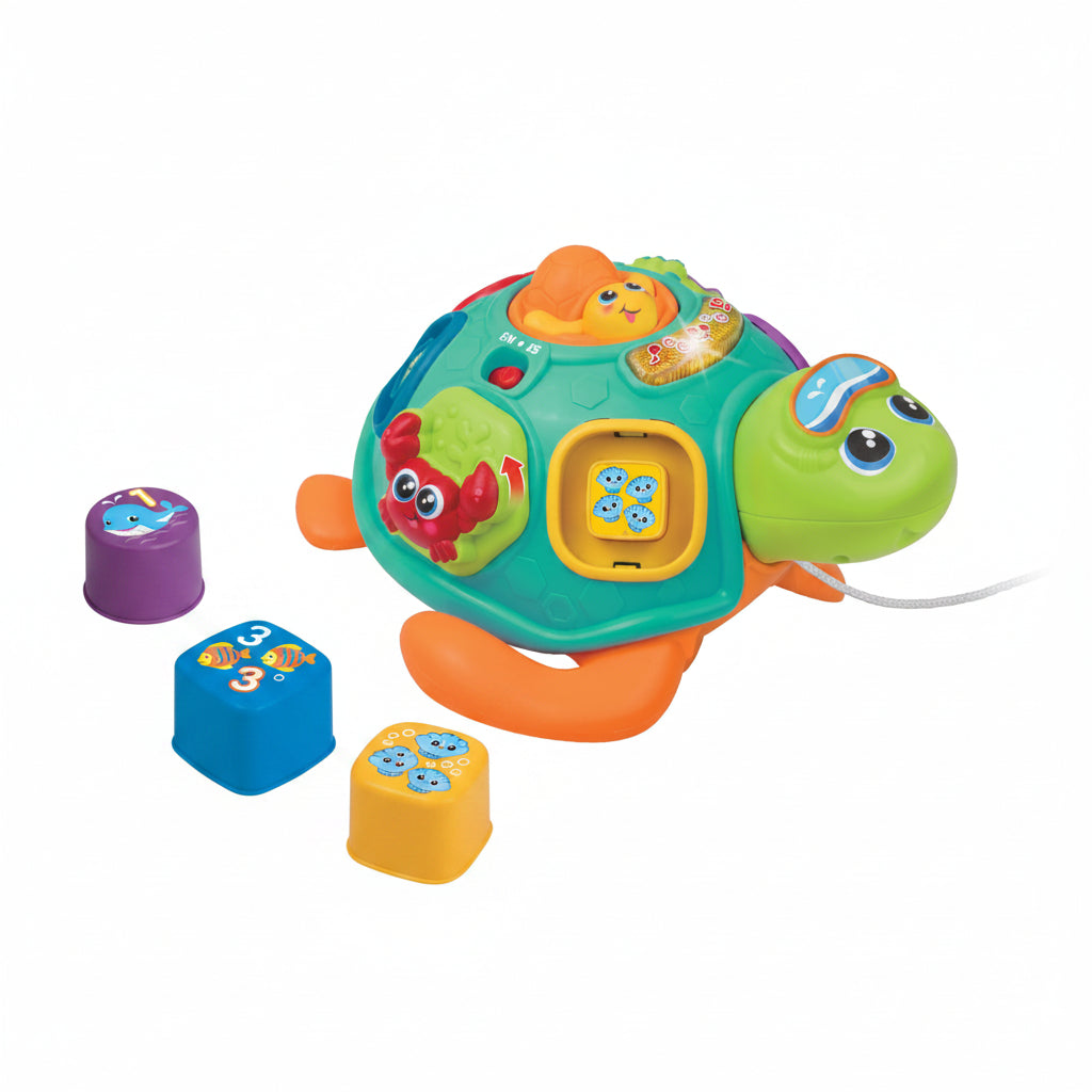 Learning Turtle