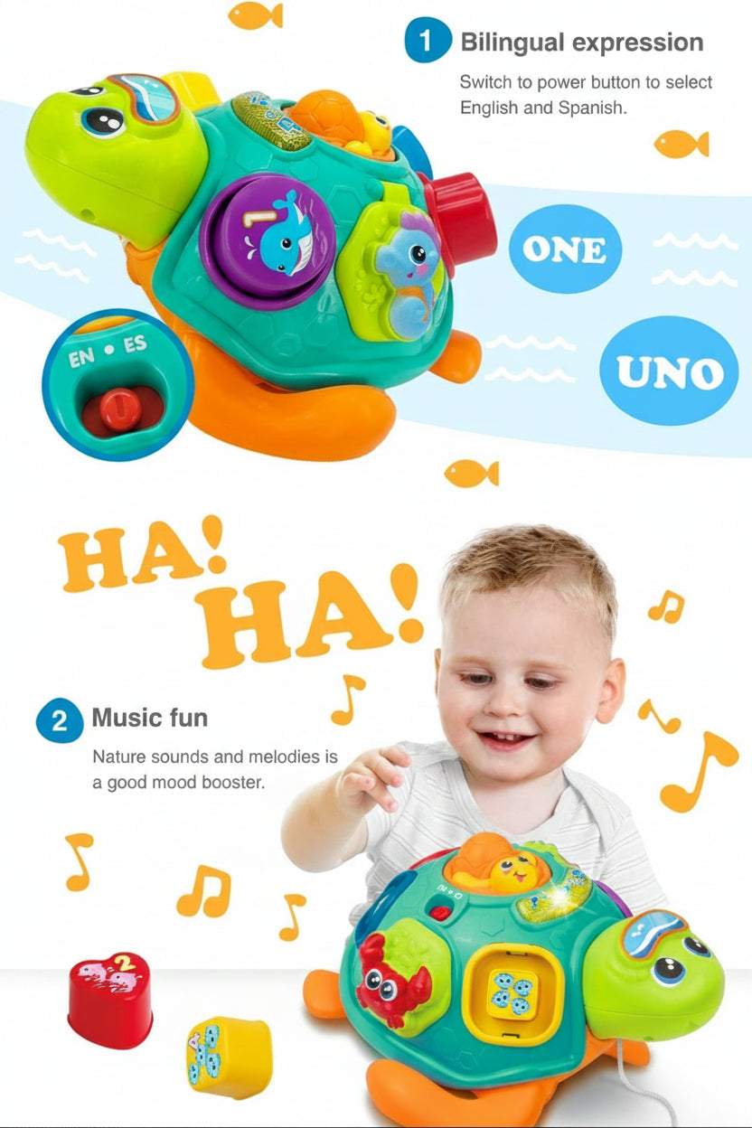 Learning Turtle