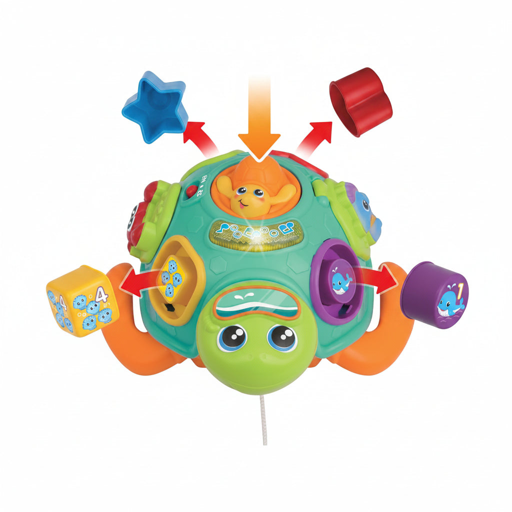 Learning Turtle