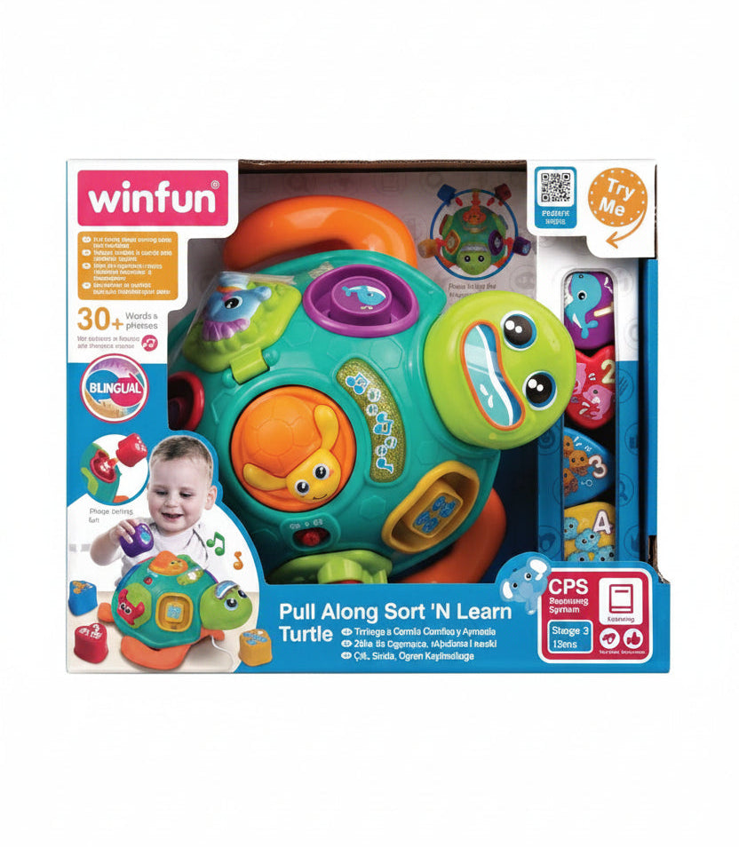Learning Turtle
